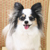 �p�s����