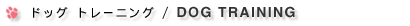 �g���[�j���O