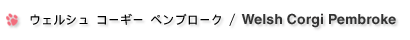 �E�F���V���E�R�[�M�[�E�y���u���[�N
