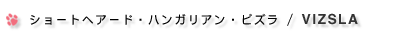 �V���[�g�w�A�[�h�E�n���K���A���E�r�Y��