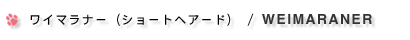 ���C�}���i�[�i�V���[�g�w�A�[�h�j